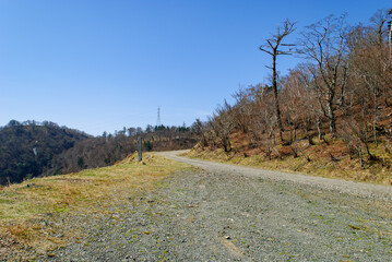 剣山スーパー林道の四国のへそ