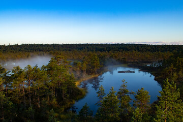 A beautiful aerial summer or autumn morning with foggy lakes, a forest and some trees in the grass with copy space
