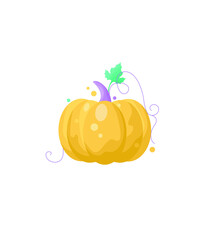 Vector illustration of a large, ripe, orange pumpkin.