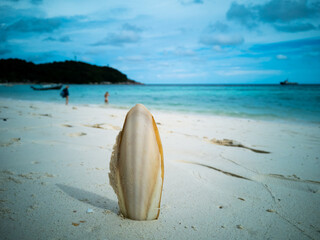 surfboard on the beach