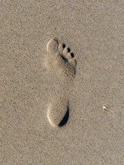 footprint in sand