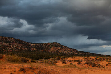 Stormy sky and clouds before sunset above the Coral Pink Sand Dunes State Park near Kanab, Utah, USA