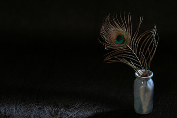 Peacock feather on Texture background 