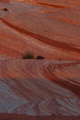 Rock formations in the Valley of Fire State Park in the Nevada desert, USA