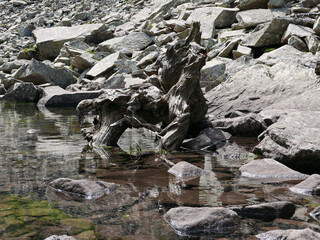 riflessi delle rocce in un laghetto di montagna