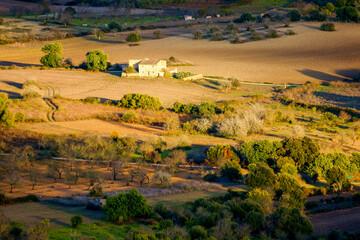 Fototapeta premium Campiña.Petra. Es pla.Mallorca.Islas baleares.España.