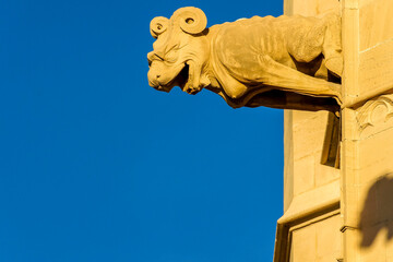 Gargola,La Llotja , siglo XV.Palma.Mallorca.Islas Baleares. España.