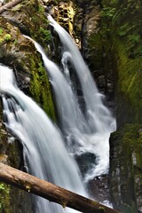 Obraz premium waterfall in the woods