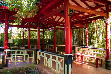 Obraz premium Tropical botanical garden, Belem, Lisbon, Portugal