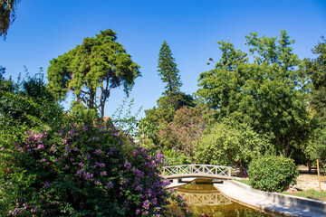 
Tropical botanical garden, Belem, Lisbon, Portugal