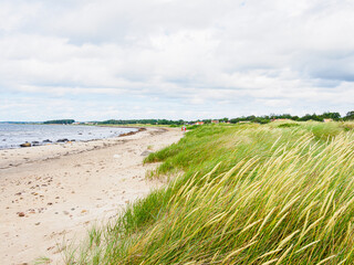 Beach and grass on the southern region of Sweden