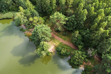 Aerial view of river and forest, summer landscape