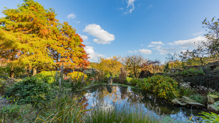 Fototapeta na wymiar Small pond surrounded by greenery and a tree with autumn leaves, wonderful sunny day with a blue sky and white clouds in Landgraaf South Limburg in the Netherlands Holland