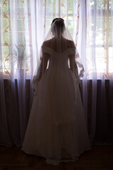 Fototapeta premium bride silhouette