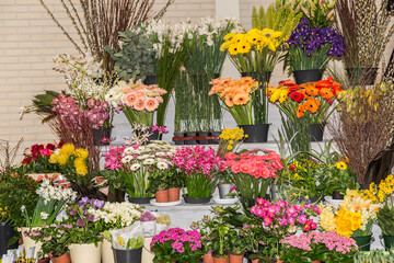 A large variety of different flowers on a flower stall in a market in the Netherlands. Combination of color and texture expressed in a flower, beauty of nature