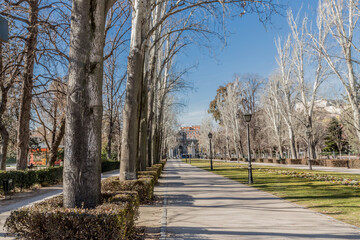 Retiro Park with its walkways, sidewalks among bare trees, bushes, green grass and pole lamps, sunny winter day with a blue sky in Madrid Spain