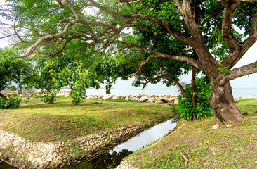 Fototapeta na wymiar Green landscape with a water channel.