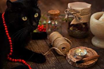 Obraz na płótnie Canvas autumn composition with black cat
