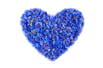 Blue cornflowers heart isolated on white background
