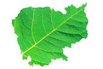 Map of Cambodia in green leaf texture on a white isolated background. Ecology, climate concept, 3d illustration