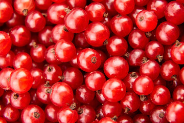 Red currant heap top view, fresh berries background