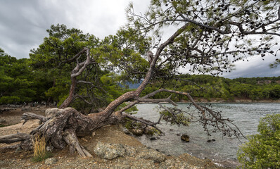 The coast of Mediterranean sea