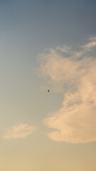 Naklejka na ściany i meble Heißluftballon mit Wolken