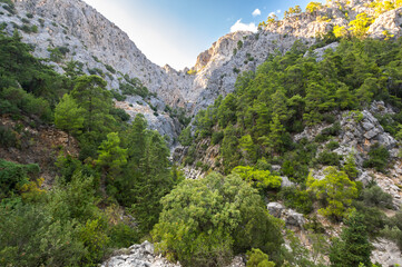 Fototapeta na wymiar View of canyon Goynuk