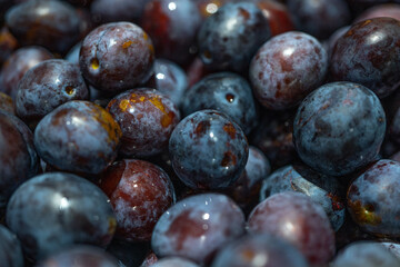 Fresh ripe plums. Eco Supermarket. A lot of very beautiful blue plums. The autumn harvest. Selective focus. 