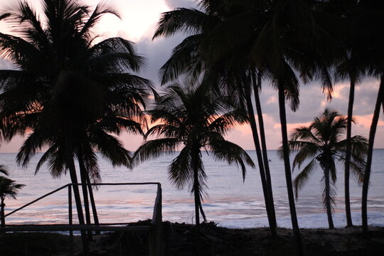 beach es