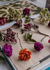 Notebook with dried flowers and leaves