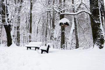 Dos bancos de parque cubiertos de nieve