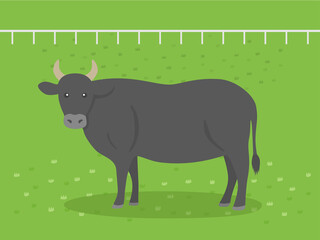 牧場にいる牛のイラスト