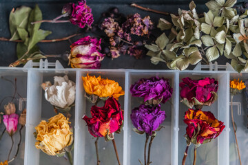 Close up of a box full of dried flowers