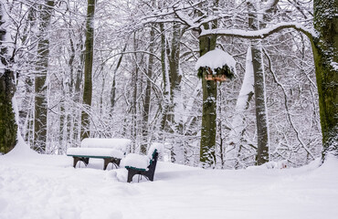 Dos bancos de parque cubiertos de nieve