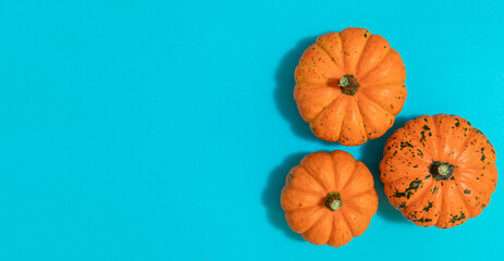 Creative autumn composition. Colored pumpkins on a blue paper background with copy space. concept of harvest, thanksgiving, Halloween, invitation cards.