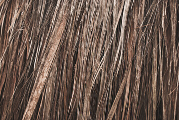 Straw texture. Rustic and natural background.