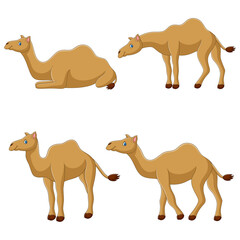 Camel cartoon collection set. Vector illustration