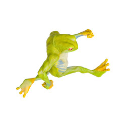 frog is running in isometric view