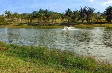 Fototapeta na wymiar Sunny day by the lake in the public park of the city of Santo André - São Paulo - Brazil