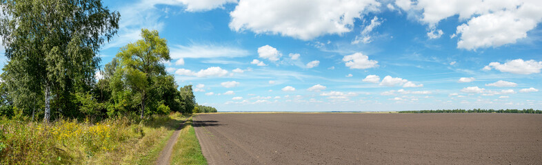 Fototapeta na wymiar Summer rural panoramic landscape with blue sky with beautiful clouds over the country road and plowed field