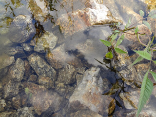 small stream with stones close up in lake 
