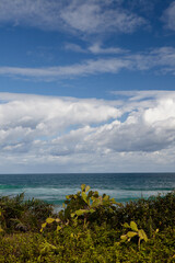 Green sea, blue sky and white clouds. Ecological reserve Recreio dos Bandeirantes, Rio de Janeiro, Brazil 