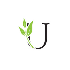 Letter U nature logo design. Simple minimalist vector template