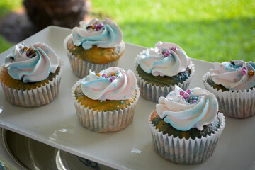 cupcake3
