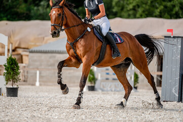 Detail of horse hooves from showjumping competition.