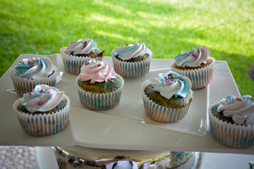 cupcake3