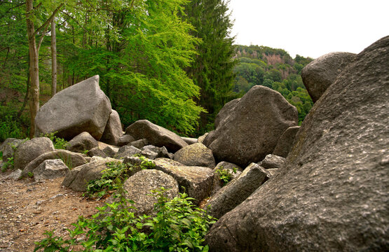 Felsbl&ouml;cke im Felsenmeer
Felsenlandschaft aus dunkelgrauem Quarzdiorit &ndash; Naturschutzgebiet
Deutschland / Hessen
Lautertal-Reichenbach im Odenwald