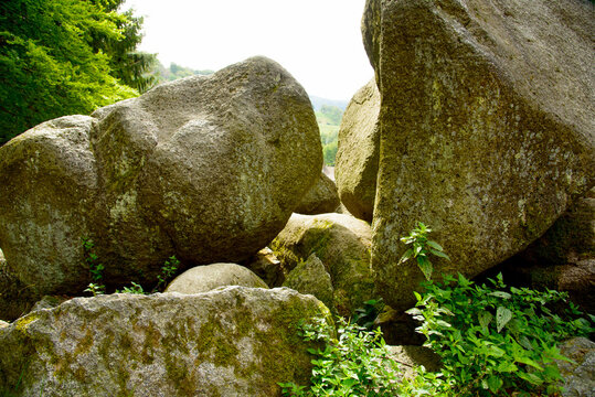 Felsbl&ouml;cke im Felsenmeer
Felsenlandschaft aus dunkelgrauem Quarzdiorit &ndash; Naturschutzgebiet
Deutschland / Hessen
Lautertal-Reichenbach im Odenwald