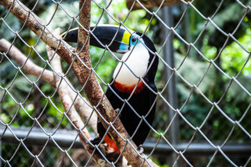Zoo